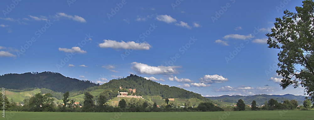 Fototapeta premium Schwarzwald