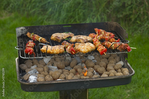 shaslick and chops on the barbecue