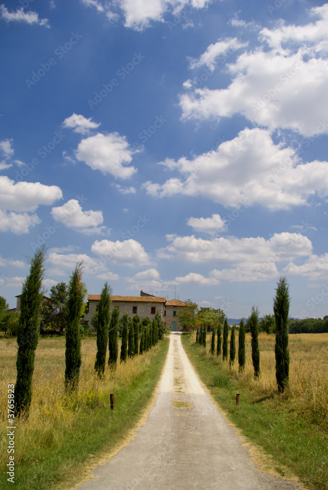 Path leas to a beautiful house in Chianti, tuscany.