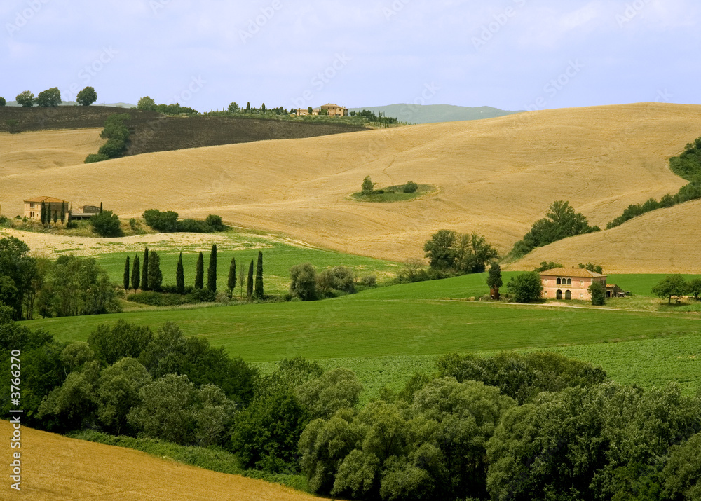 Tuscan rolling fields