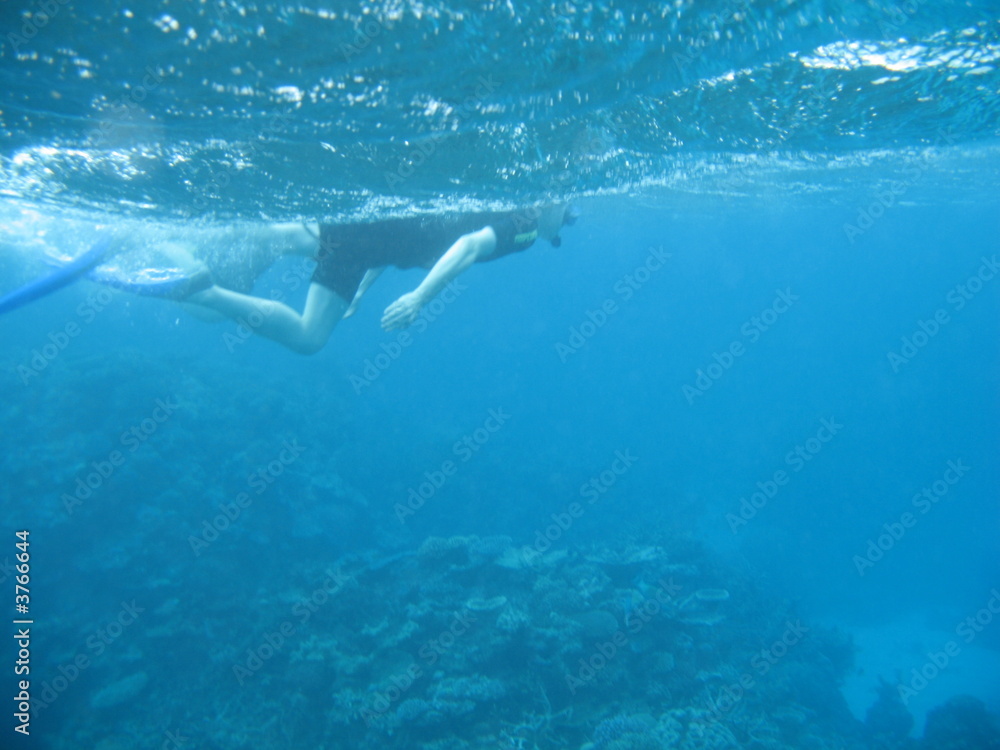 Snorkeller over reef 1