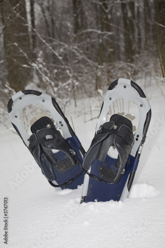 snow shoes in a winter forest