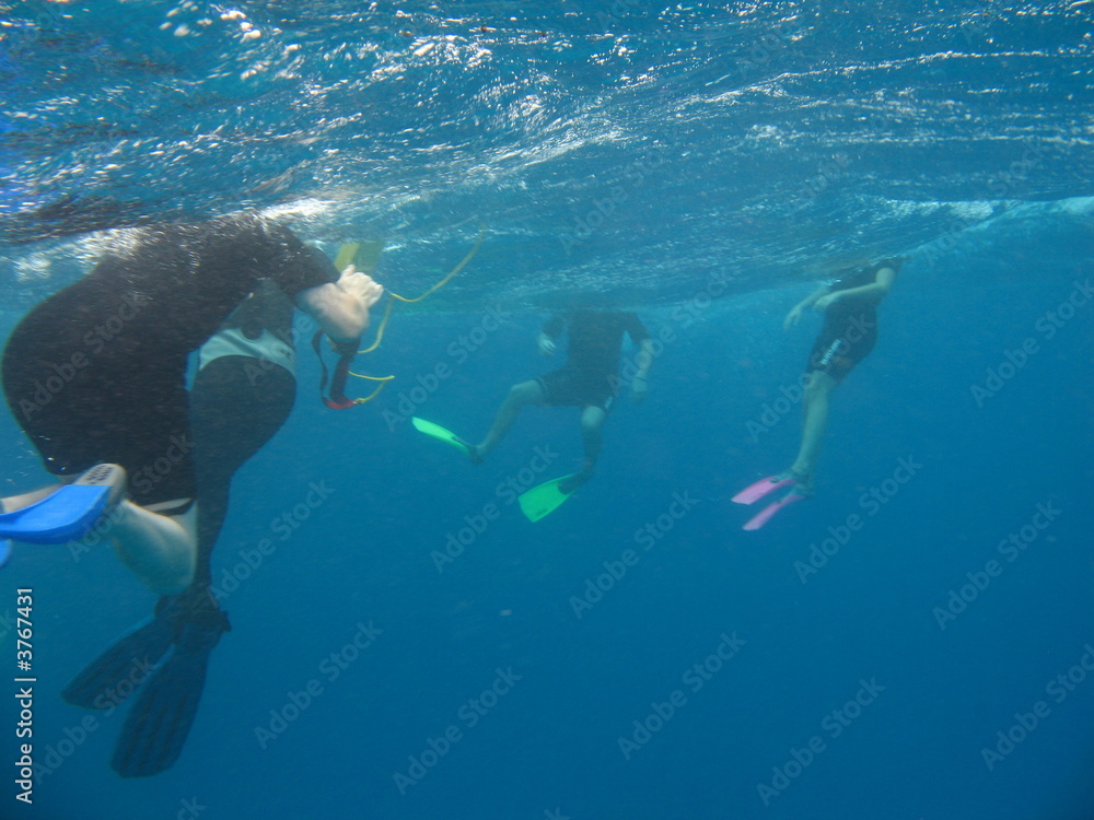 Fototapeta premium Snorkellers 2