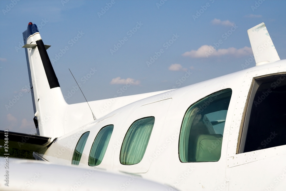 Businessman airplane. Small luxury jet plane for jet set