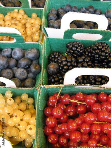 Foto petits fruits en barquette
