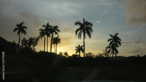 Sonnenuntergang mit Palmen