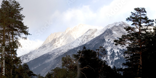 Caucasus Mountains on sunset with trees on foreground