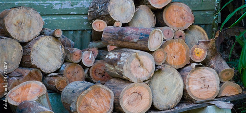 fire wood pile sawn and stacked