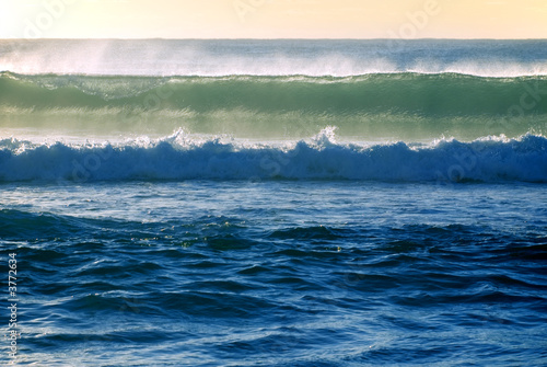 barrel ocean wave about to break in the early morning surf