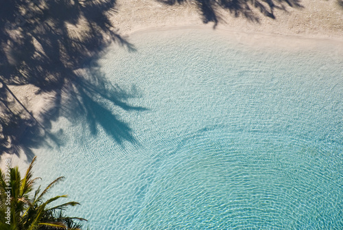 Shady Palms on tropical Blue Lagoon