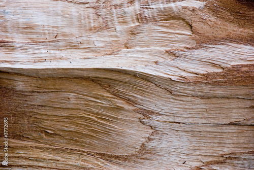 close up of wood grain on a chopped up log