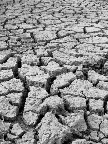Famine