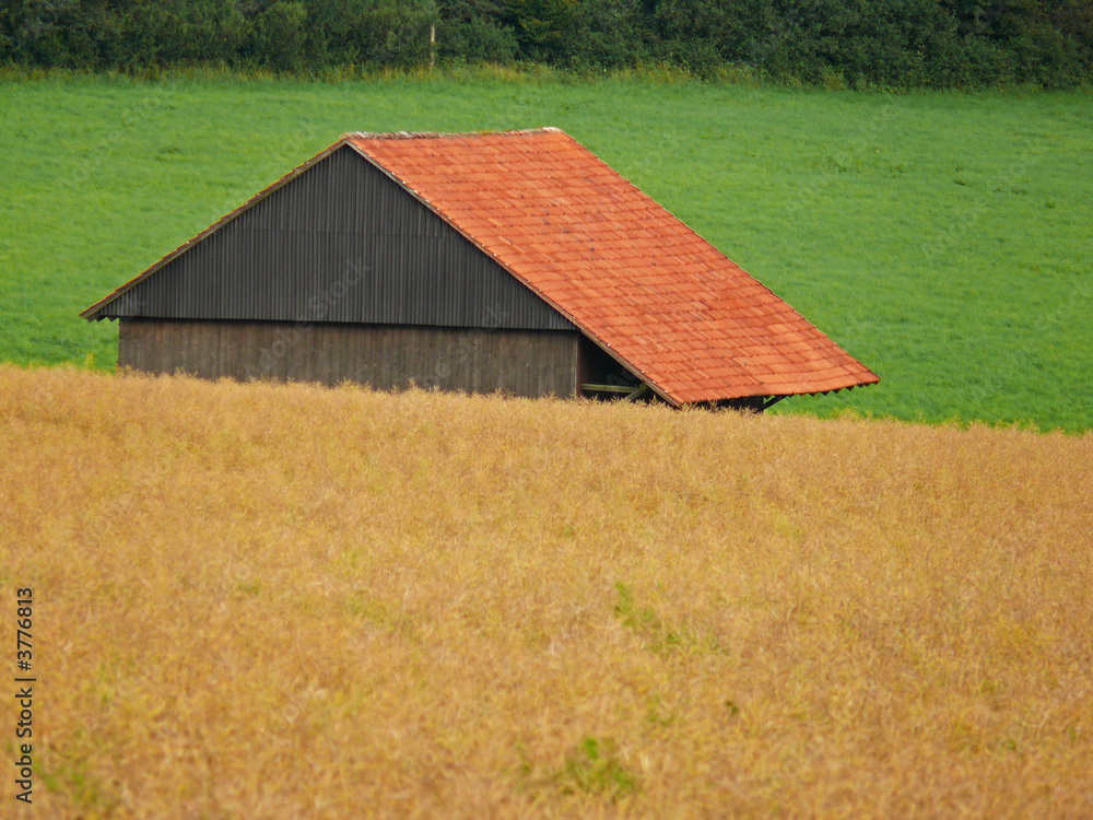 Obraz premium Hütte im Kornfeld