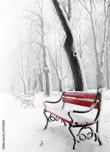Red benches in the fog in winter #3779638