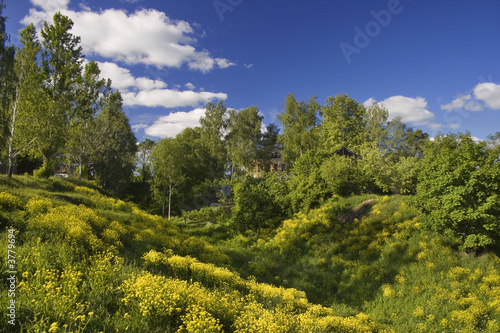 Panoramic photo of spring landscape with blue sky