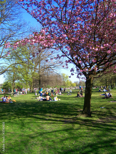 Photography Berlin Treptower Park