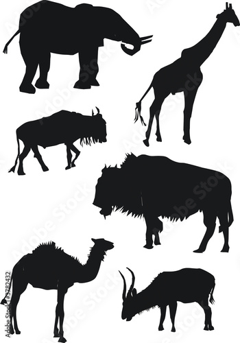 collection of animals