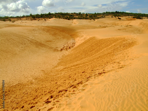 Desert  Vietnam