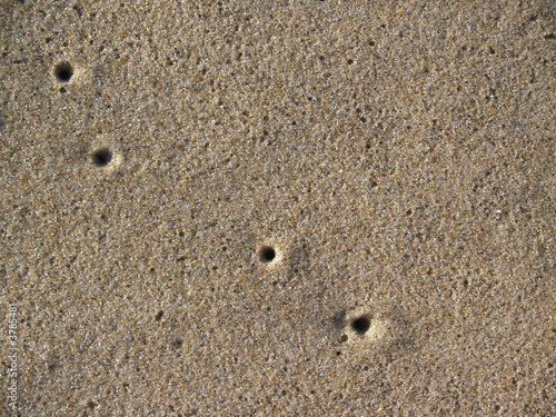  Sandy background texture with air holes from sand crabs 
