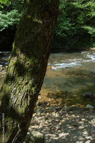 Leiza river in Leizaran Valley  Spain