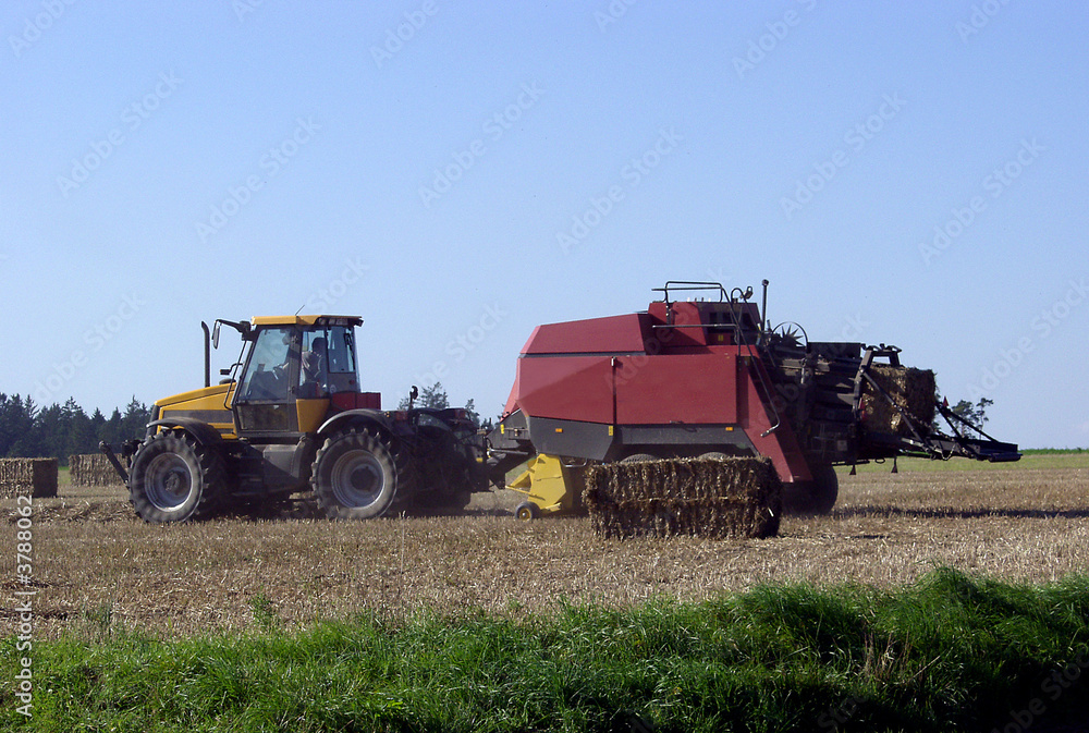 Obraz premium Landwirtschaft