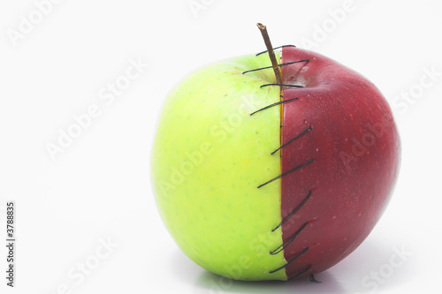 Red and green apple halves stitched together.