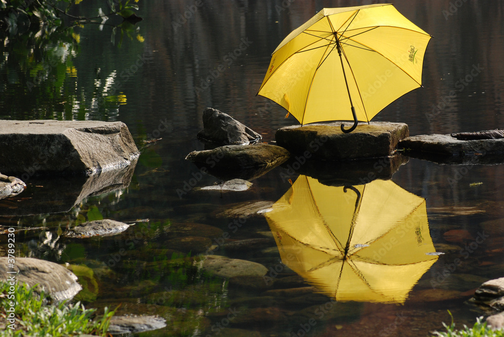 yellow color umbrella at the pond side