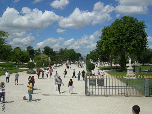 Foto jardin
