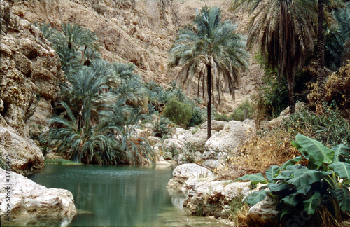 Szene im Wadi Shab photo