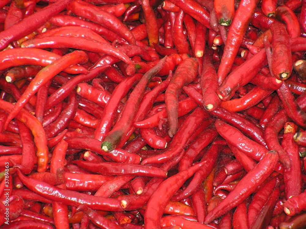 chinese red chili(hot pepper)