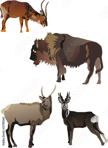 horned animals collection isolated on white background