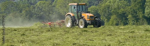 tractor cutting hay in spring