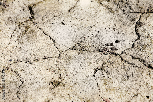 Dry ground with long cracks