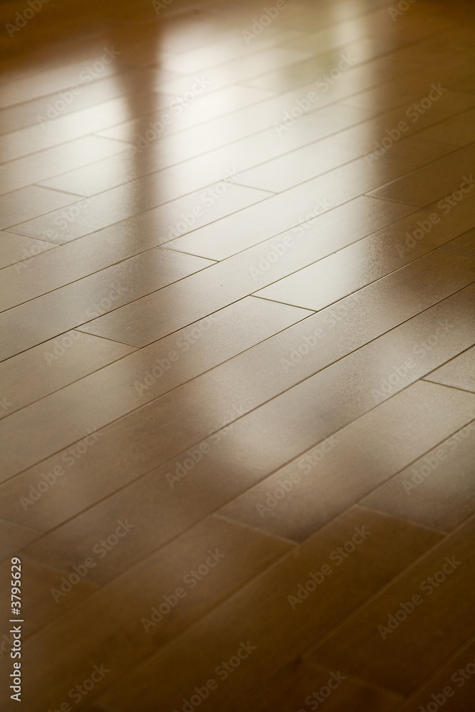 hardwood floor for background