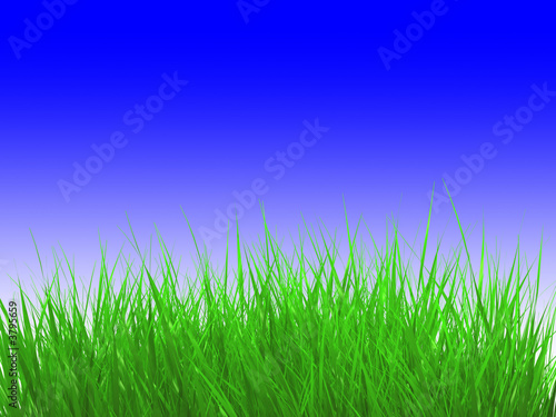 grass over sky
