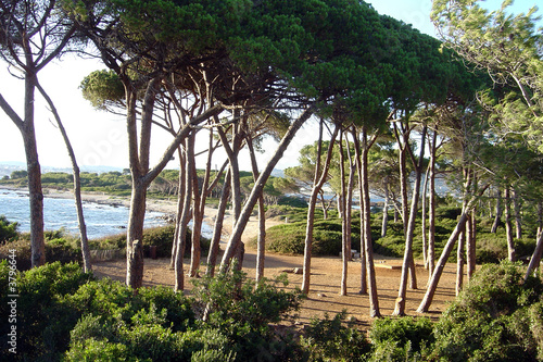 provence cote d'azur mediterranee iles lerins