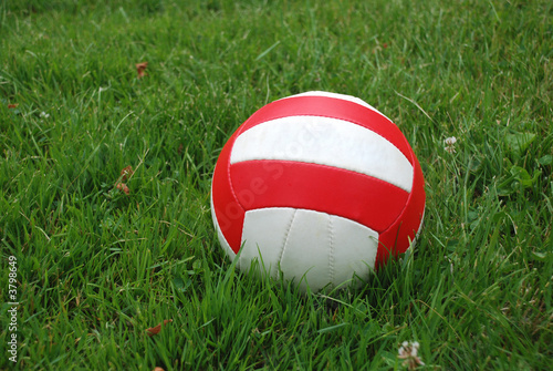 Sport ball over the grass