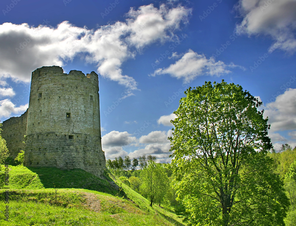 medieval castle and green trees under blue sky with clouds