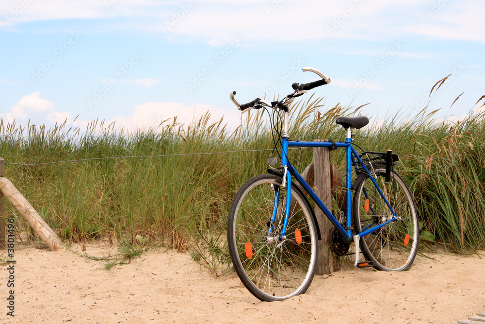 Obraz premium Gone Swimming