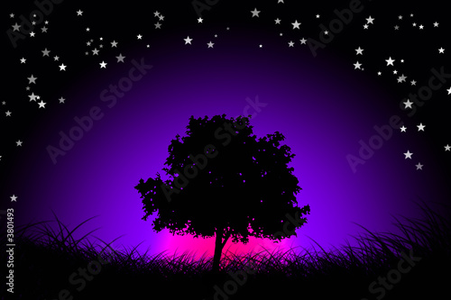 lonley tree by night