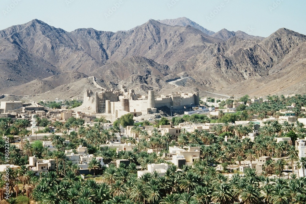 Oase im Oman