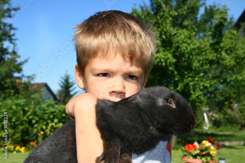 Boy and rabbit