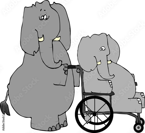 Slika na platnu Elephant Rehab