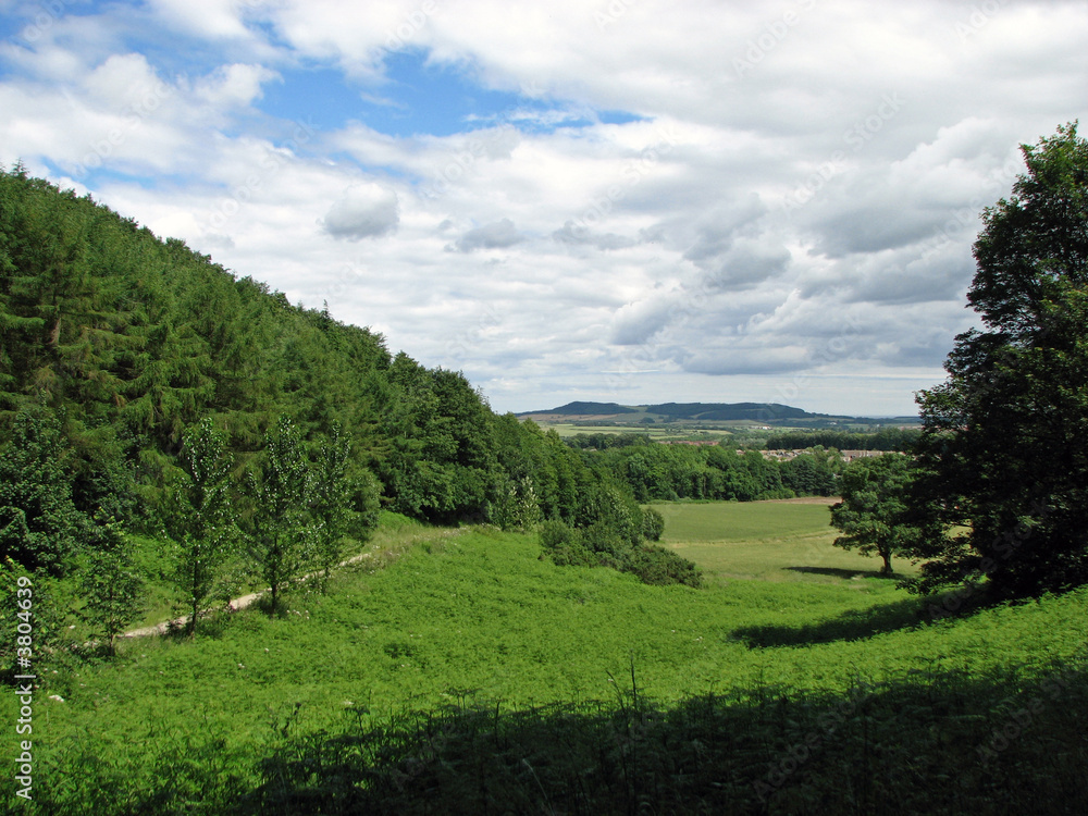 Countryside View