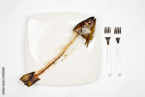 eaten fish with head and tail - symbol of misery