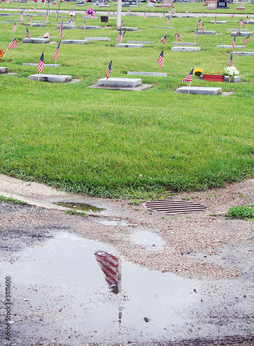 American flags adorn every serviceman's grave