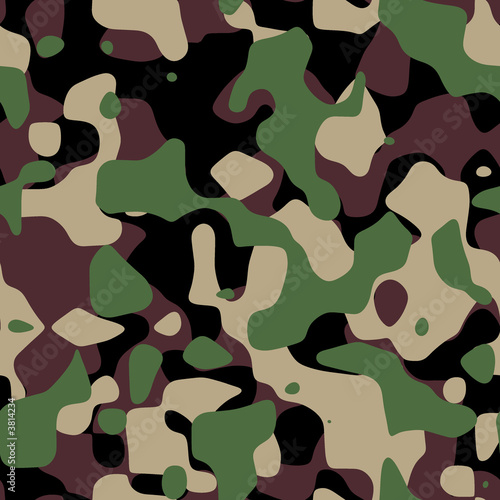 CamouFlage