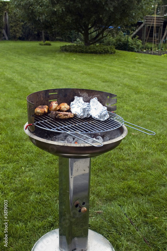 Backyard barbecue bbq