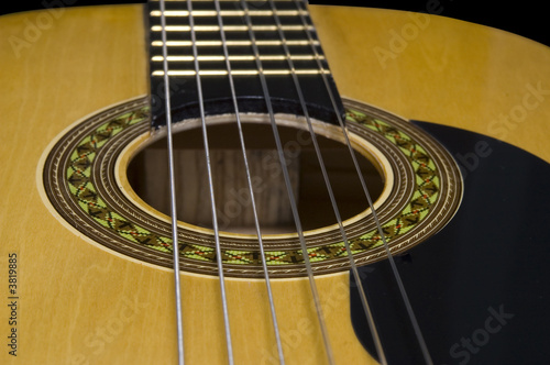 Acoustic Guitar