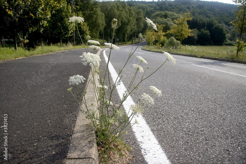 Auf´der Straße